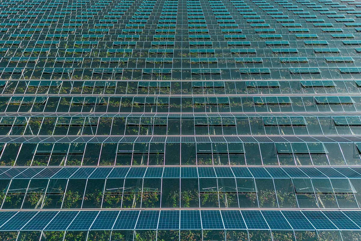 Serra fotovoltaica. Vista erea.